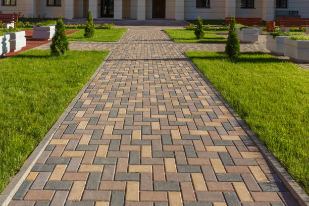 Best Driveway Paving Contractor  in Salmon Brook, CT